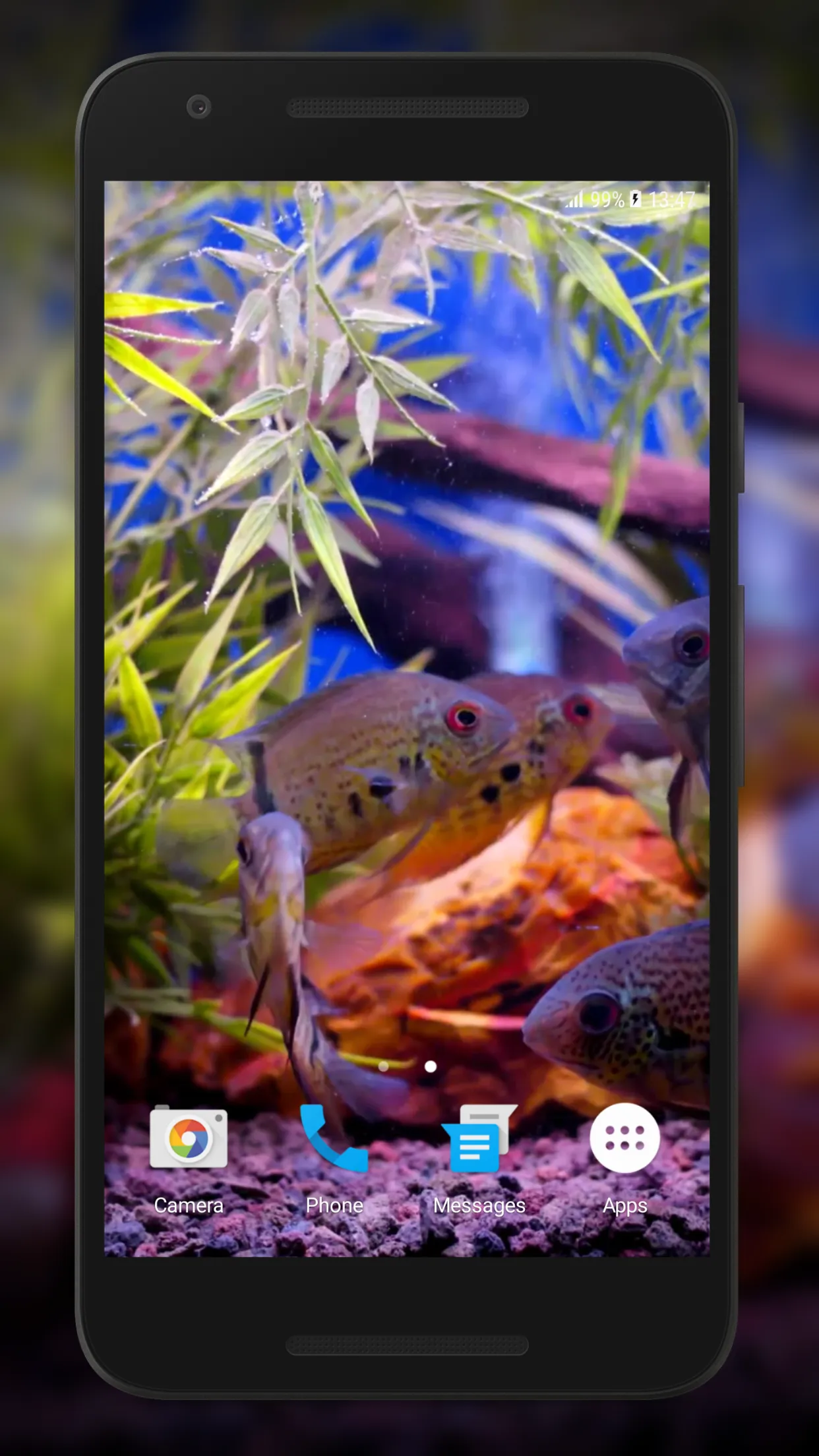 Aquarium Video Live Wallpaper | Indus Appstore | Screenshot