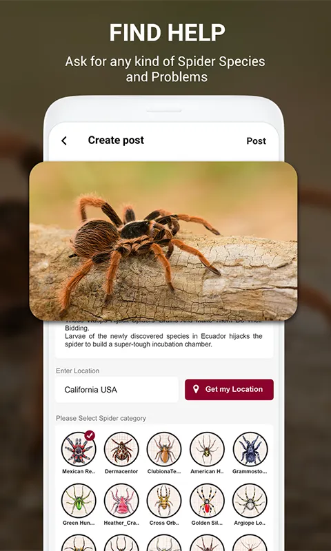 Spider Identifier App by Photo | Indus Appstore | Screenshot