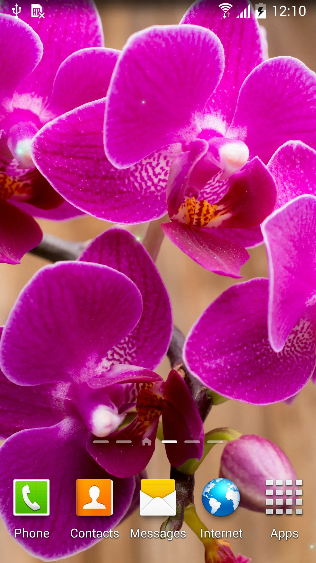 Orchids Wallpaper | Indus Appstore | Screenshot