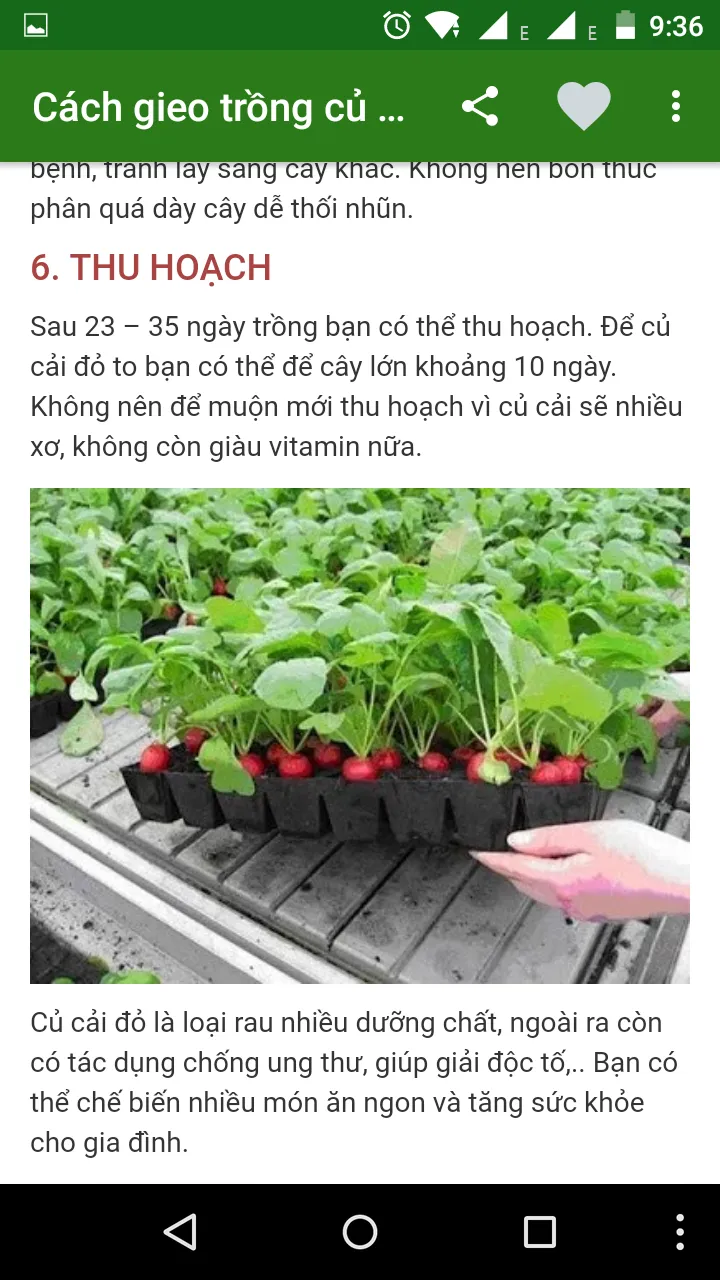 Trồng rau sạch | Indus Appstore | Screenshot