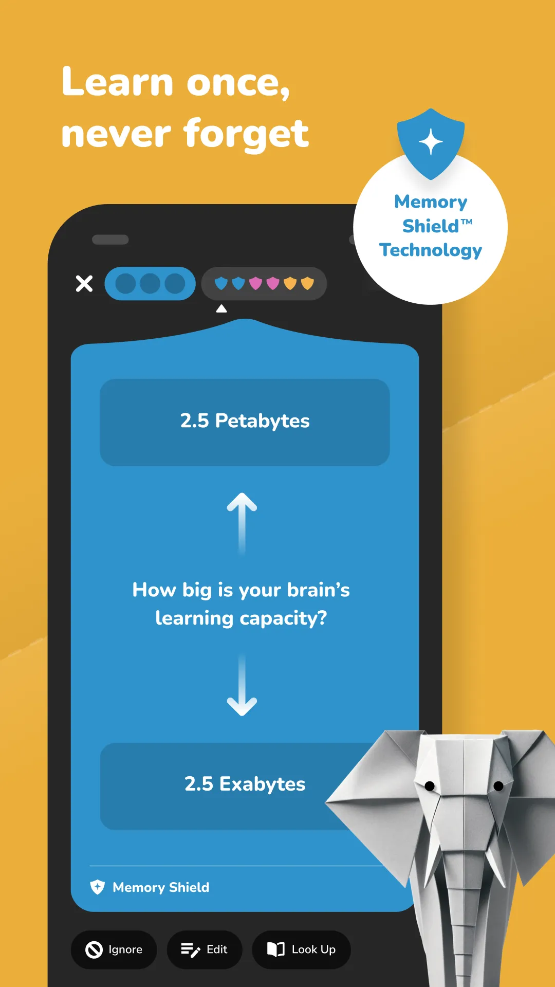 Kinnu: Superpower learning | Indus Appstore | Screenshot