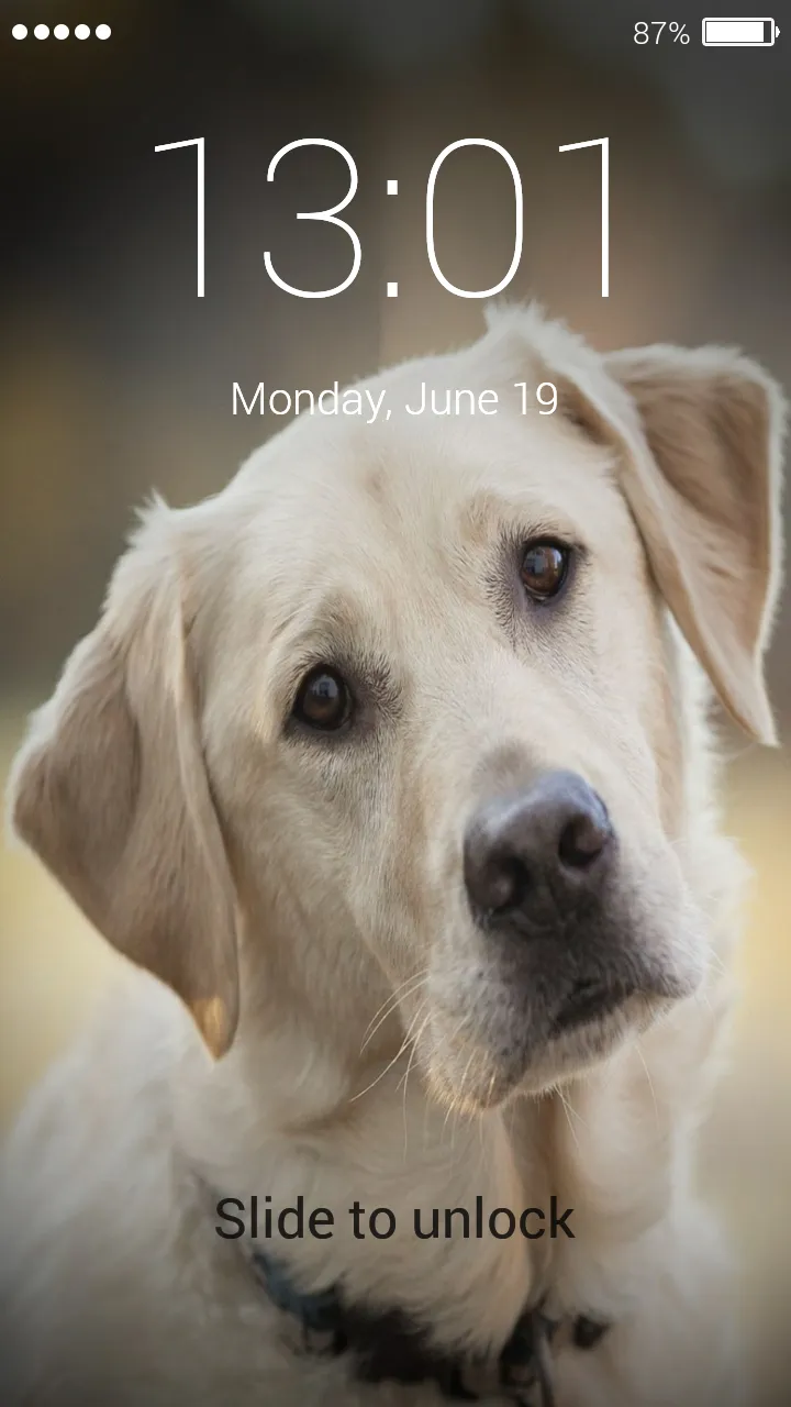 Labrador Retriever Lock Screen | Indus Appstore | Screenshot