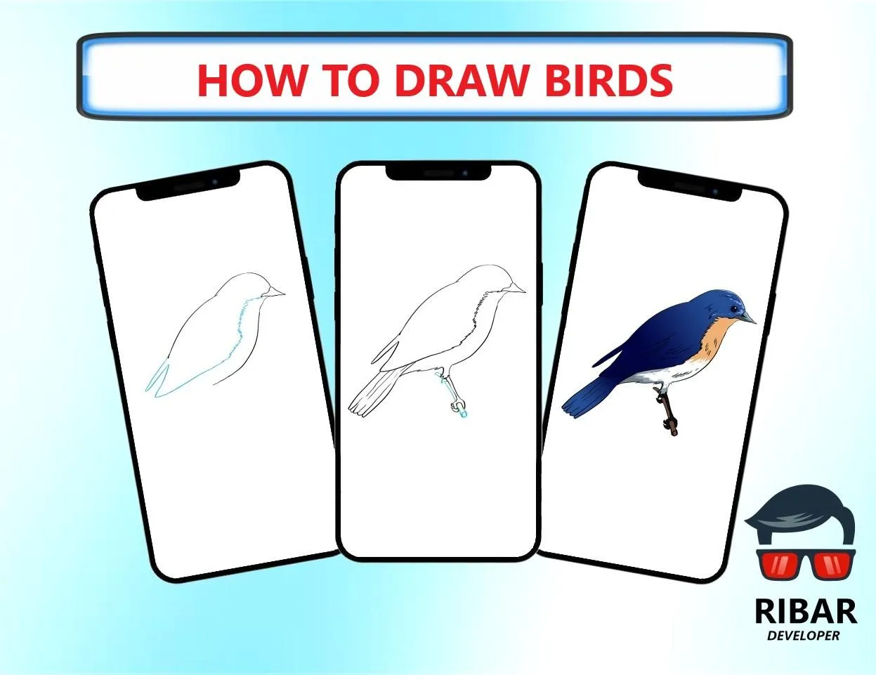 How To Draw Birds | Indus Appstore | Screenshot