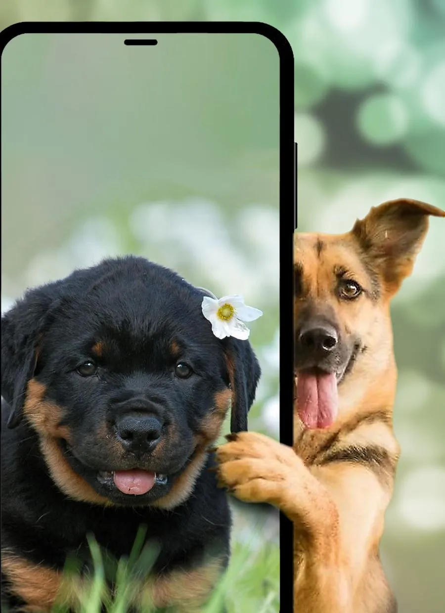 Dogs & puppies Wallpapers HD+ | Indus Appstore | Screenshot