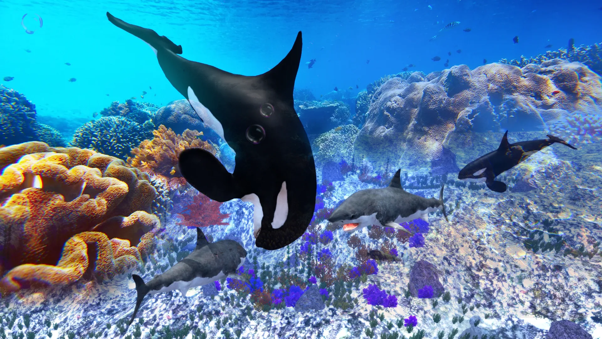 The Killer Whale | Indus Appstore | Screenshot