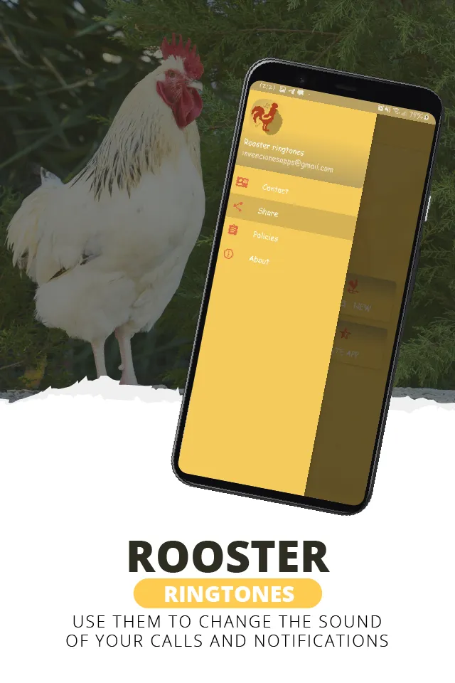 Rooster ringtones | Indus Appstore | Screenshot