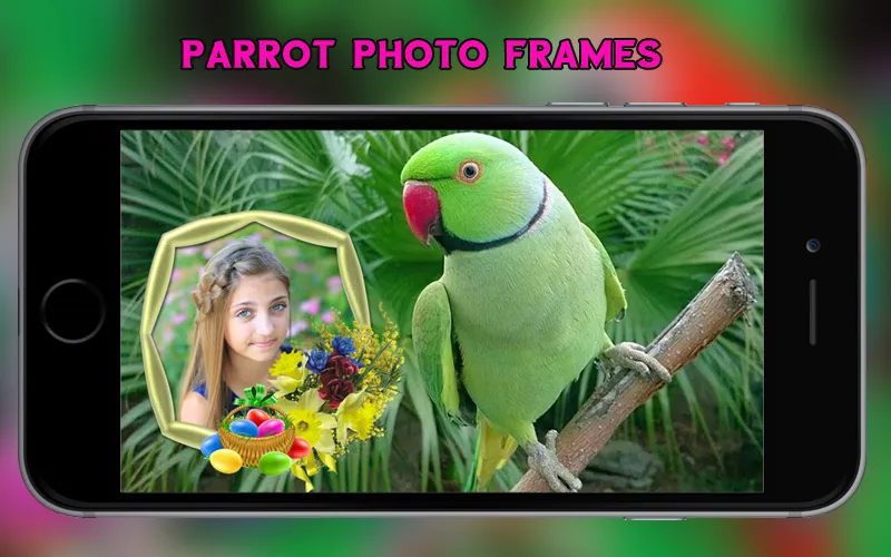 Parrot Photo Frames | Indus Appstore | Screenshot