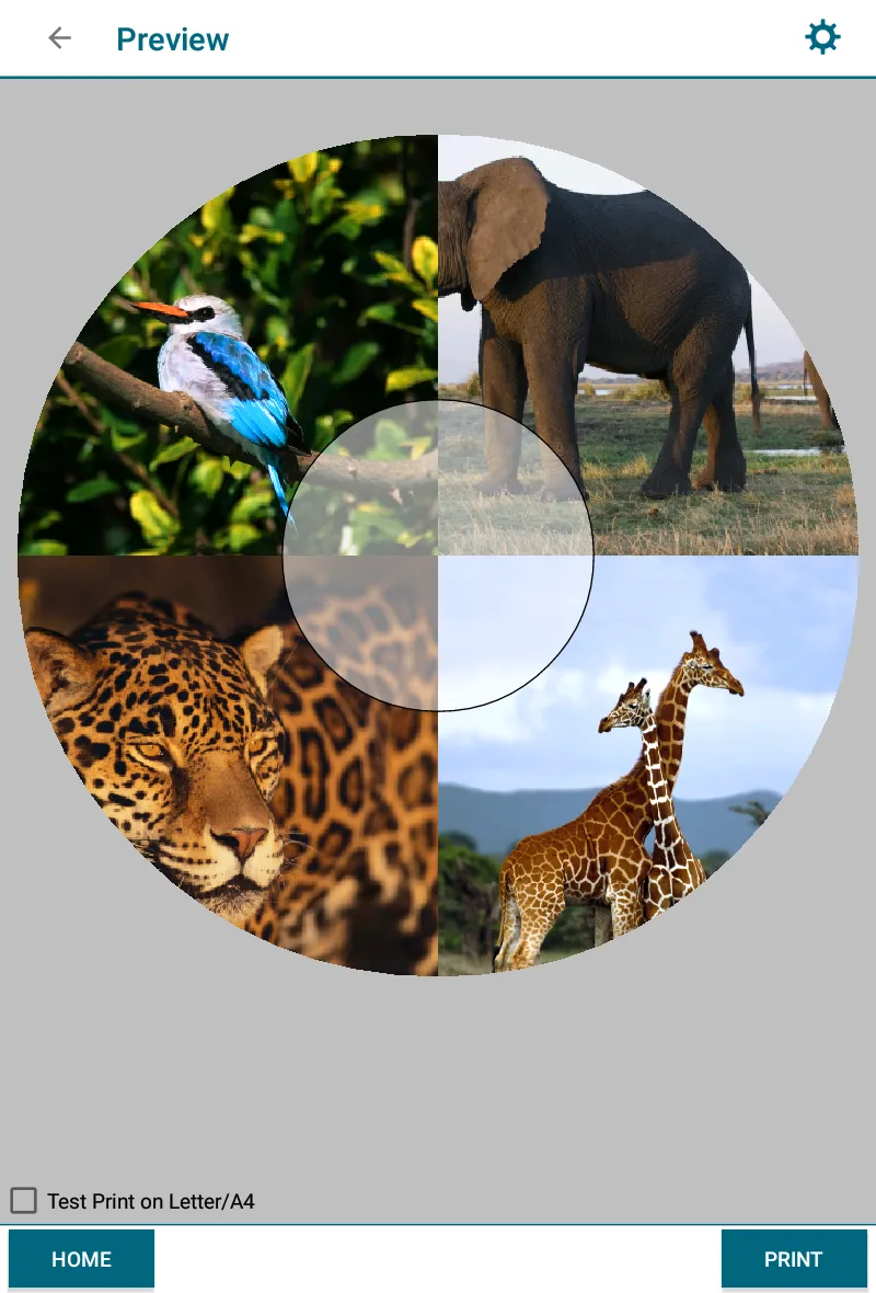 Epson Creative Print | Indus Appstore | Screenshot