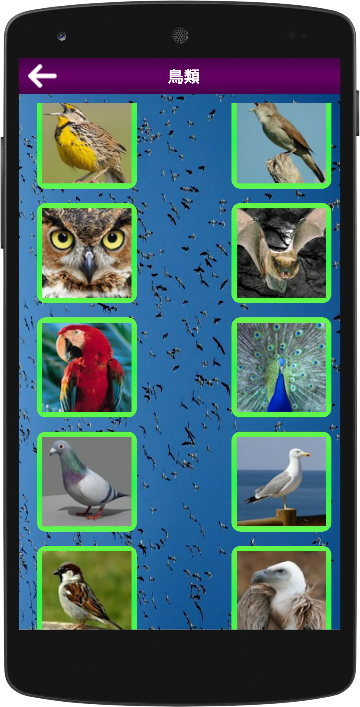 All Animal Sounds Ringtones | Indus Appstore | Screenshot