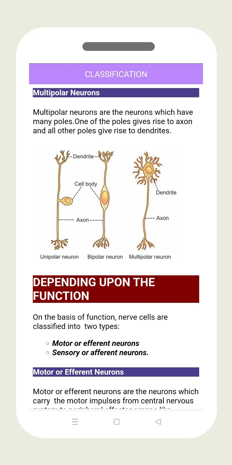 Nervous System Physiology | Indus Appstore | Screenshot