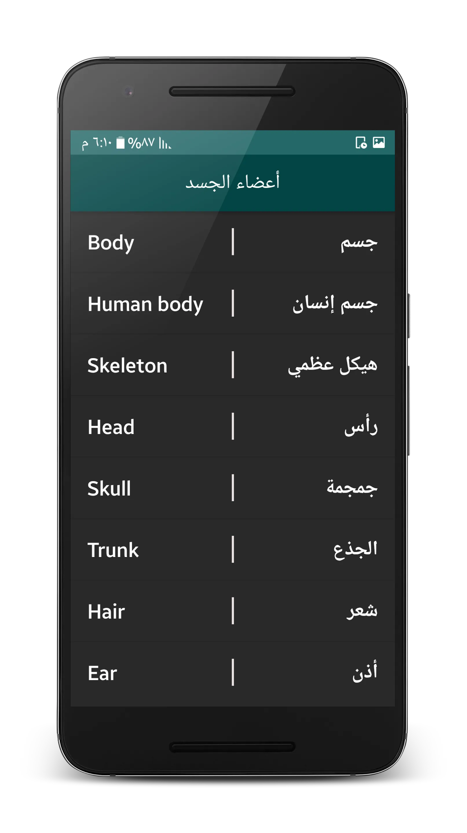 مفردات إنجليزية | Indus Appstore | Screenshot