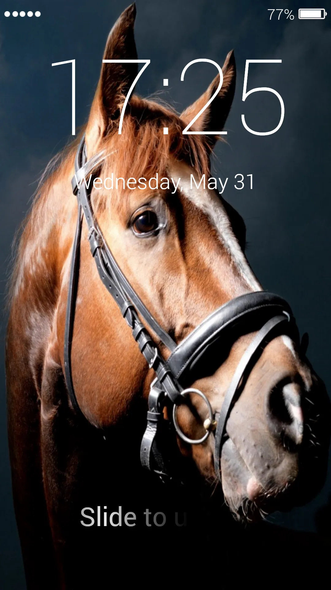 Horses Lock Screen | Indus Appstore | Screenshot