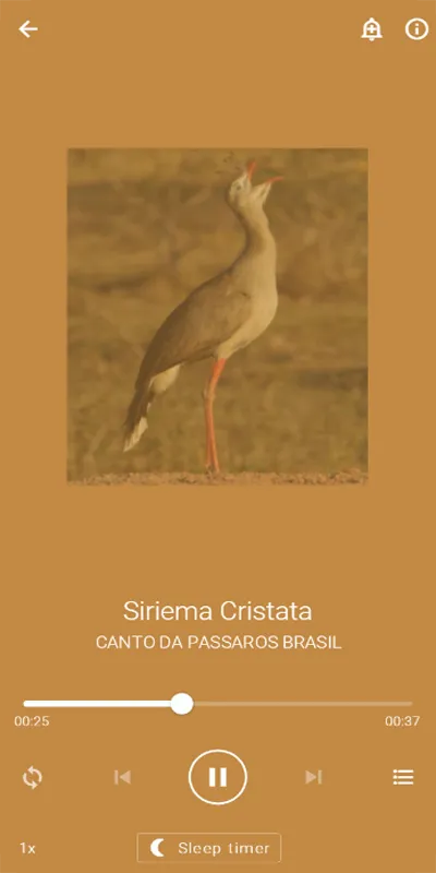 Cantos Seriema Brasileiros | Indus Appstore | Screenshot