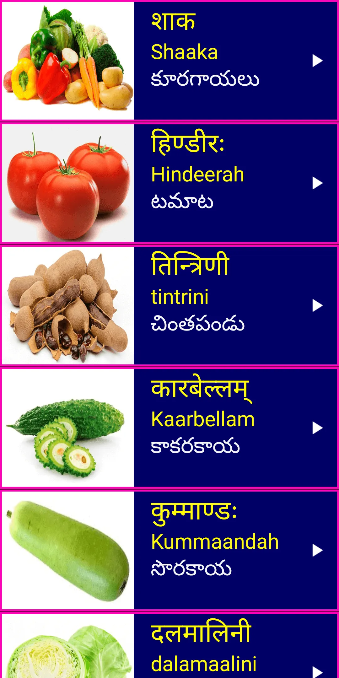 Learn Sanskrit From Telugu | Indus Appstore | Screenshot