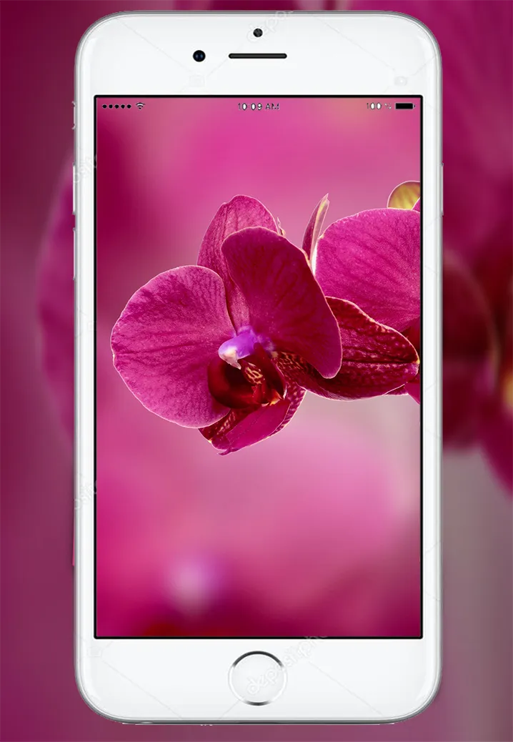 Orchid Flowers Wallpaper | Indus Appstore | Screenshot