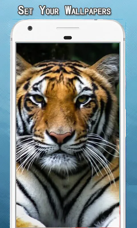 Tiger Wallpapers Hd | Indus Appstore | Screenshot