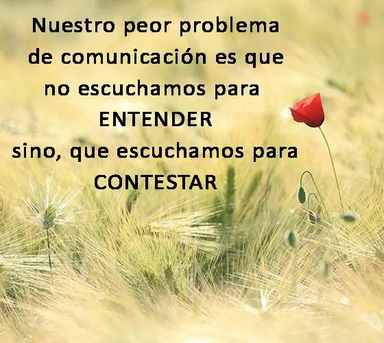 Lindas Reflexiones Positivas | Indus Appstore | Screenshot