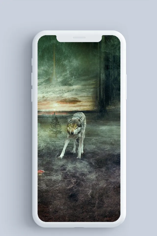 Wolf wallpaper | Indus Appstore | Screenshot