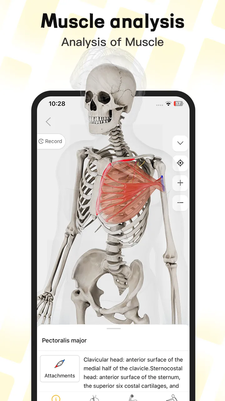 Seebody-3D muscle and movement | Indus Appstore | Screenshot