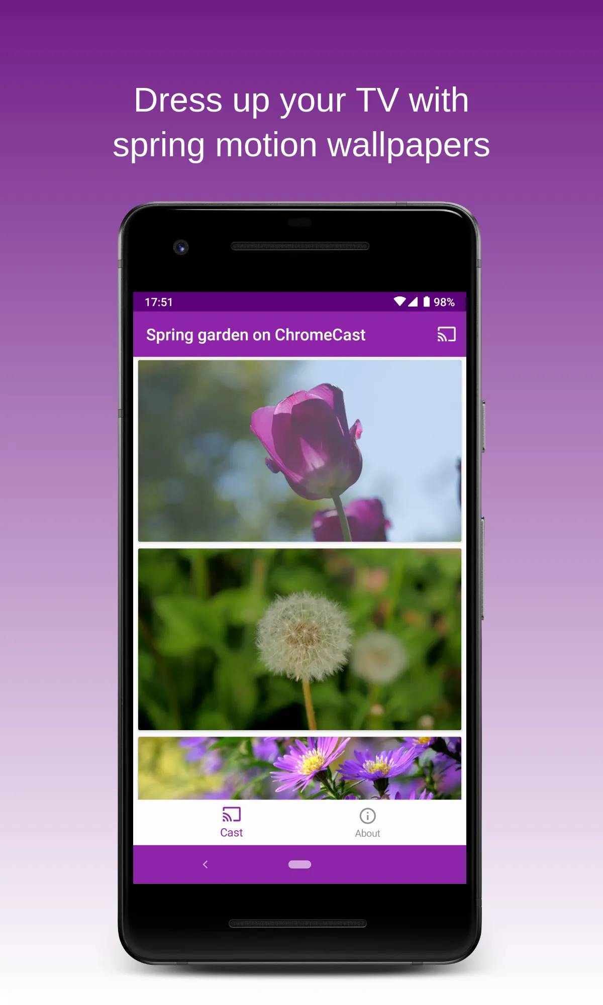 Spring Garden on Chromecast | Indus Appstore | Screenshot