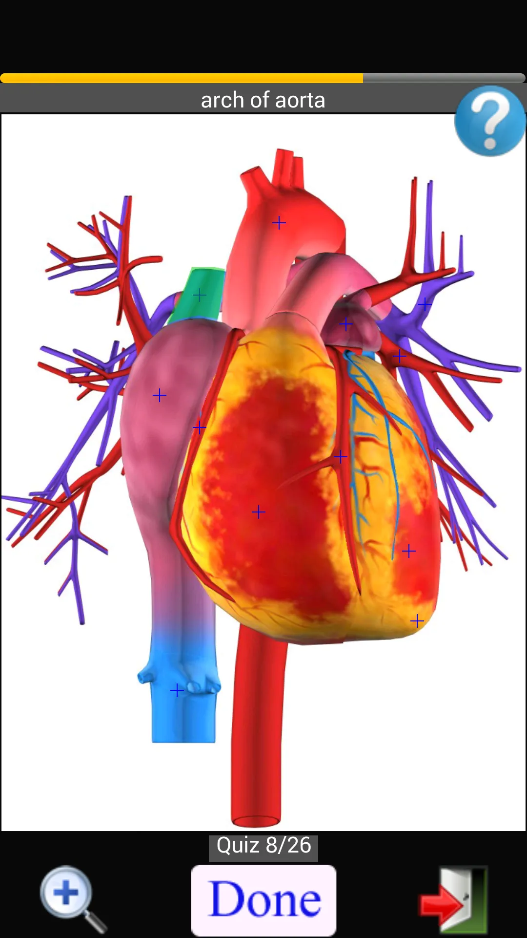 Anatomy Quiz | Indus Appstore | Screenshot