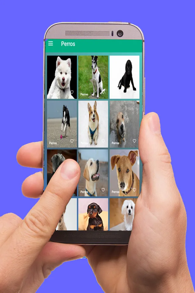 Imágenes de Perros y Gatos | Indus Appstore | Screenshot