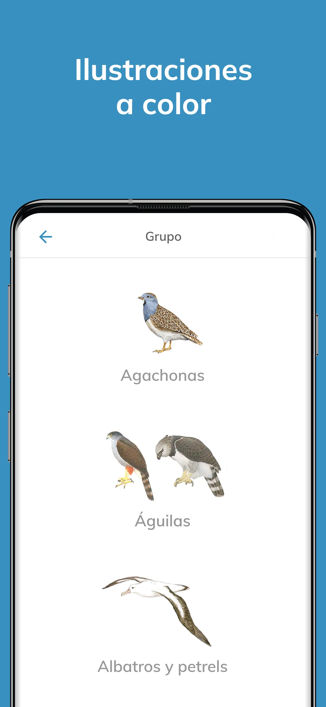 Aves argentinas | Indus Appstore | Screenshot