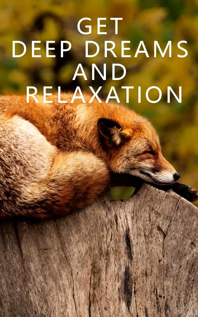 Relaxing Music: Sleep Sounds | Indus Appstore | Screenshot