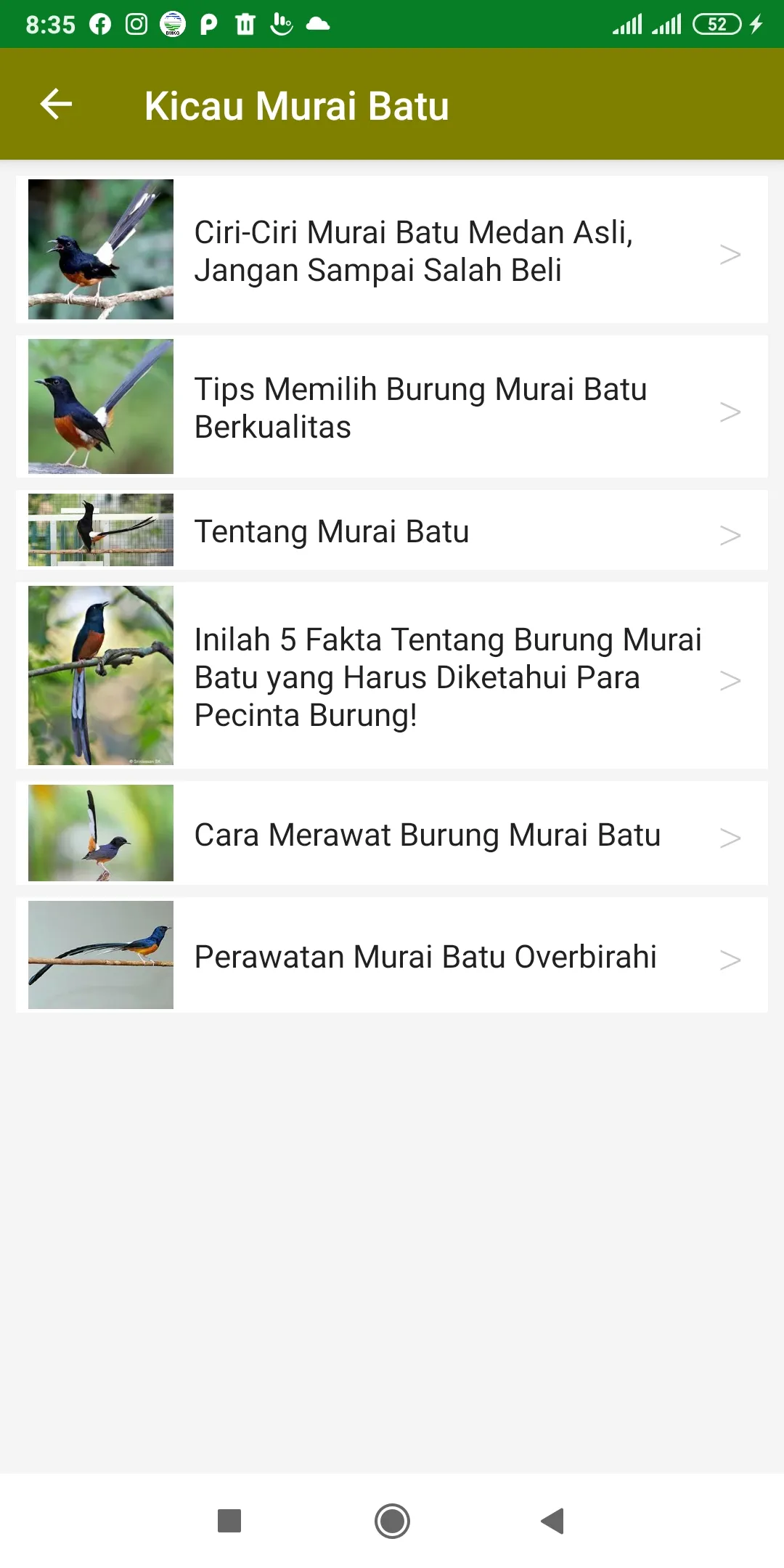 Suara Kicau Murai Batu Offline | Indus Appstore | Screenshot