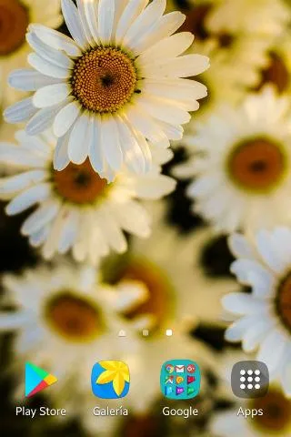 Daisy Wallpapers | Indus Appstore | Screenshot