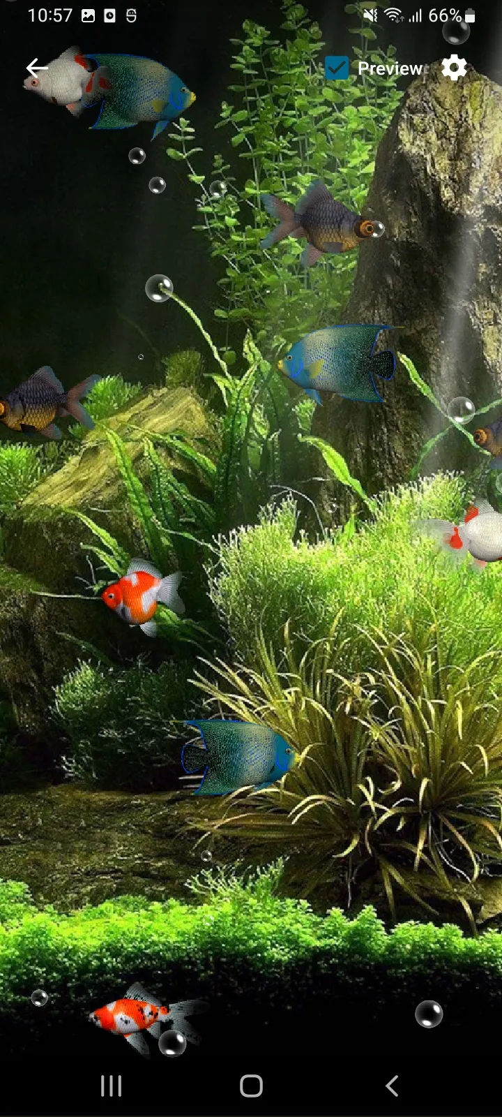 Aquarium Live Wallpaper 3D | Indus Appstore | Screenshot