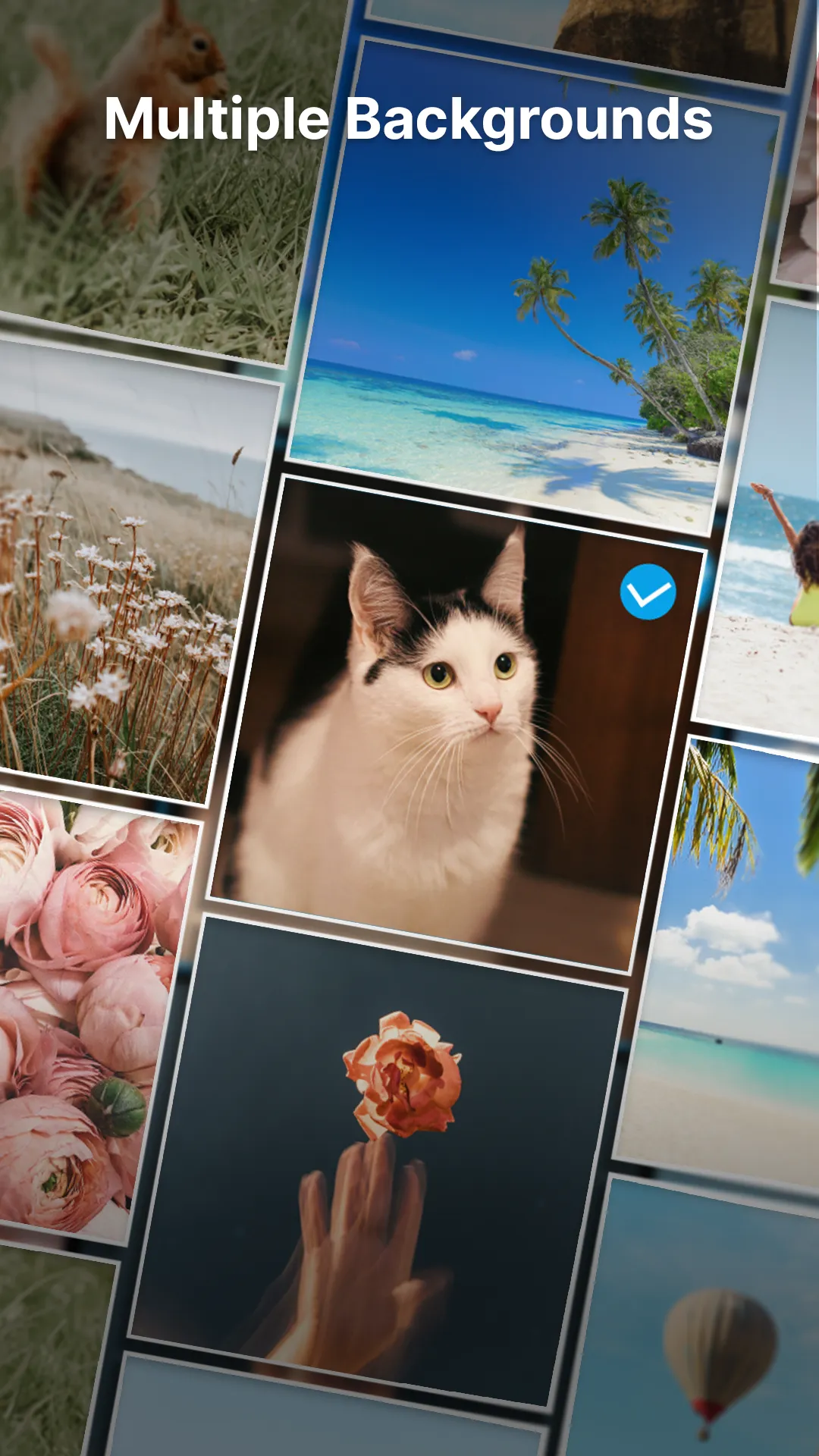 Text on Photo: Text Editor | Indus Appstore | Screenshot