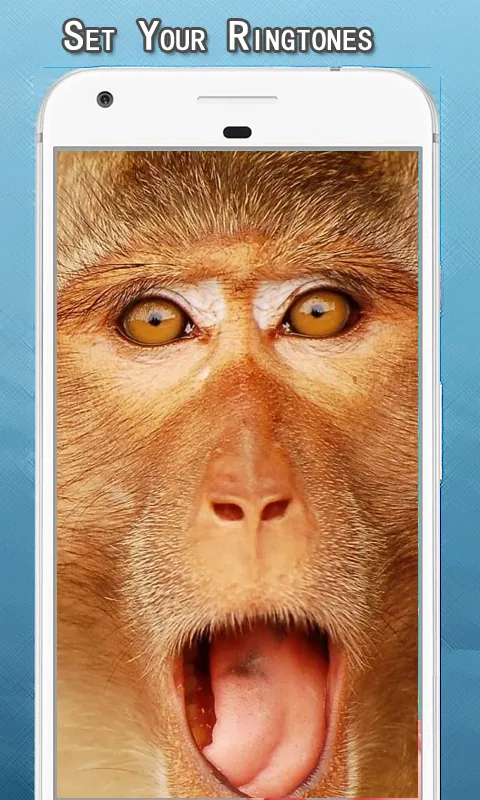 Monkey Sounds Ringtone | Indus Appstore | Screenshot