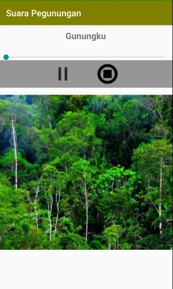 Suara Alam Pegunungan Santai | Indus Appstore | Screenshot