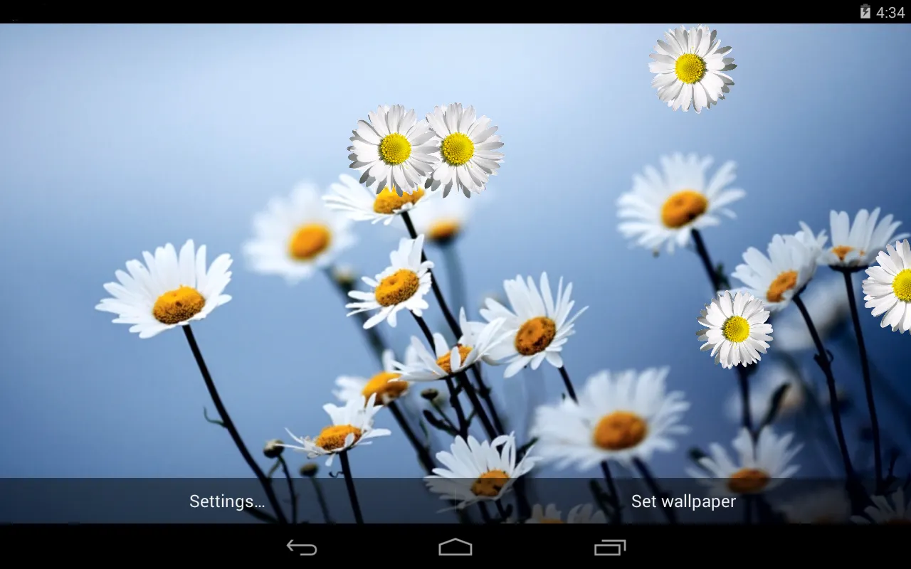 Daisy Live Wallpaper | Indus Appstore | Screenshot