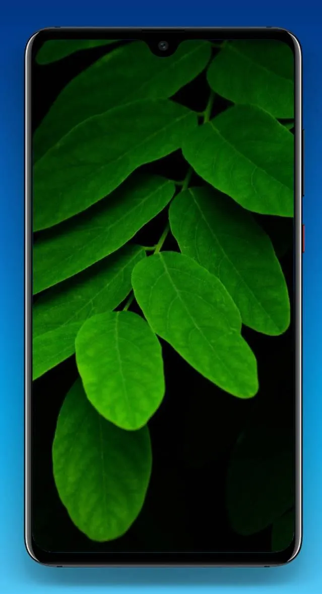 Leaf Wallpaper 4K | Indus Appstore | Screenshot