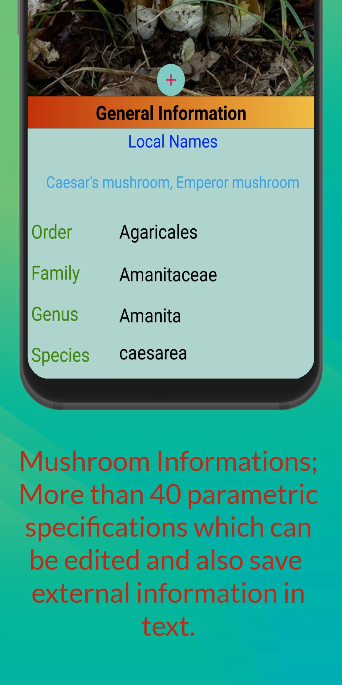 Mushroom Hunter's Guide | Indus Appstore | Screenshot