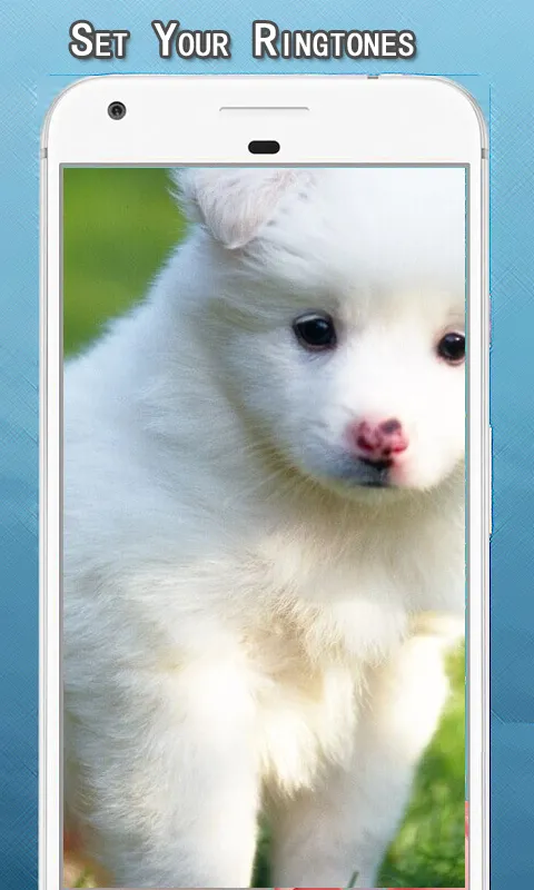 Dog Growling Sounds Ringtone | Indus Appstore | Screenshot