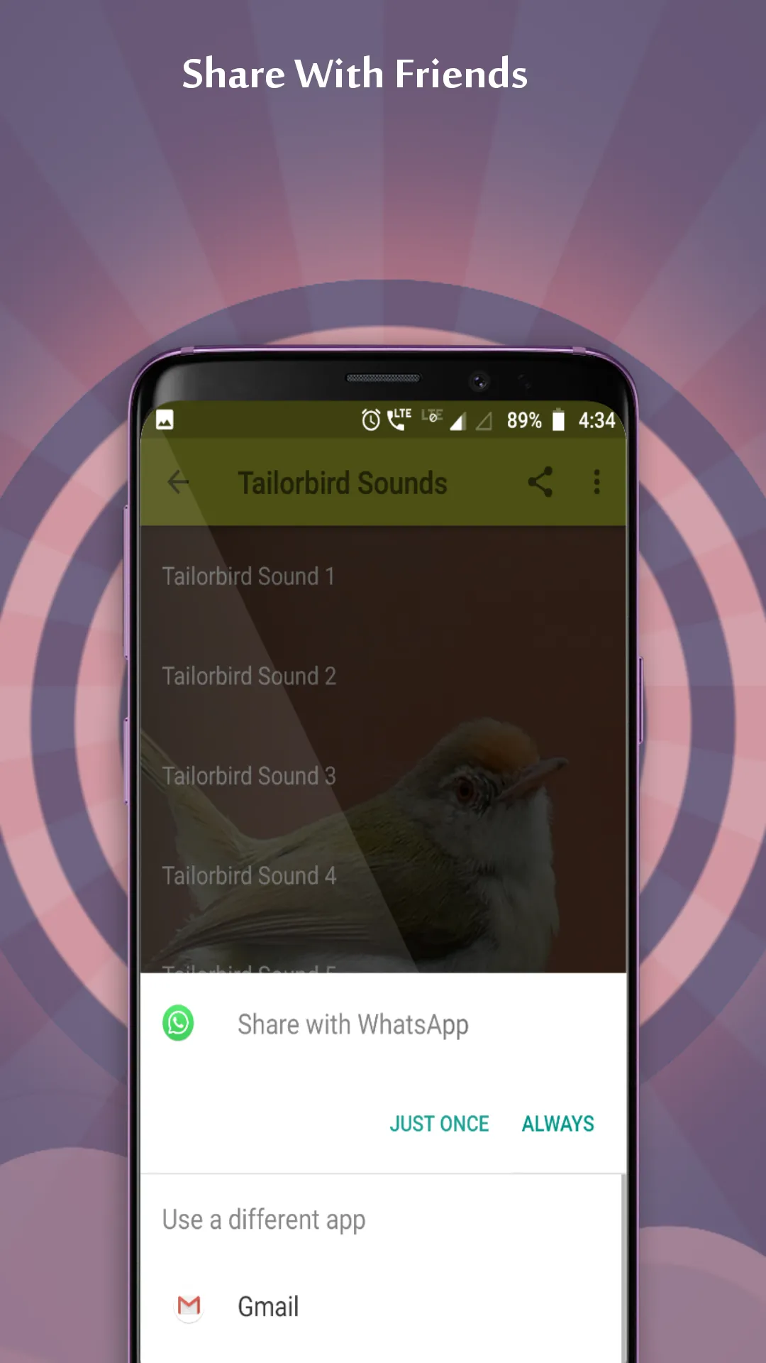 Tailorbird Sounds | Indus Appstore | Screenshot