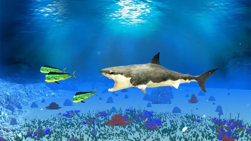 The Shark | Indus Appstore | Screenshot