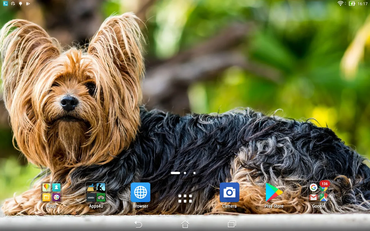 Yorkshire Terrier live wallpap | Indus Appstore | Screenshot