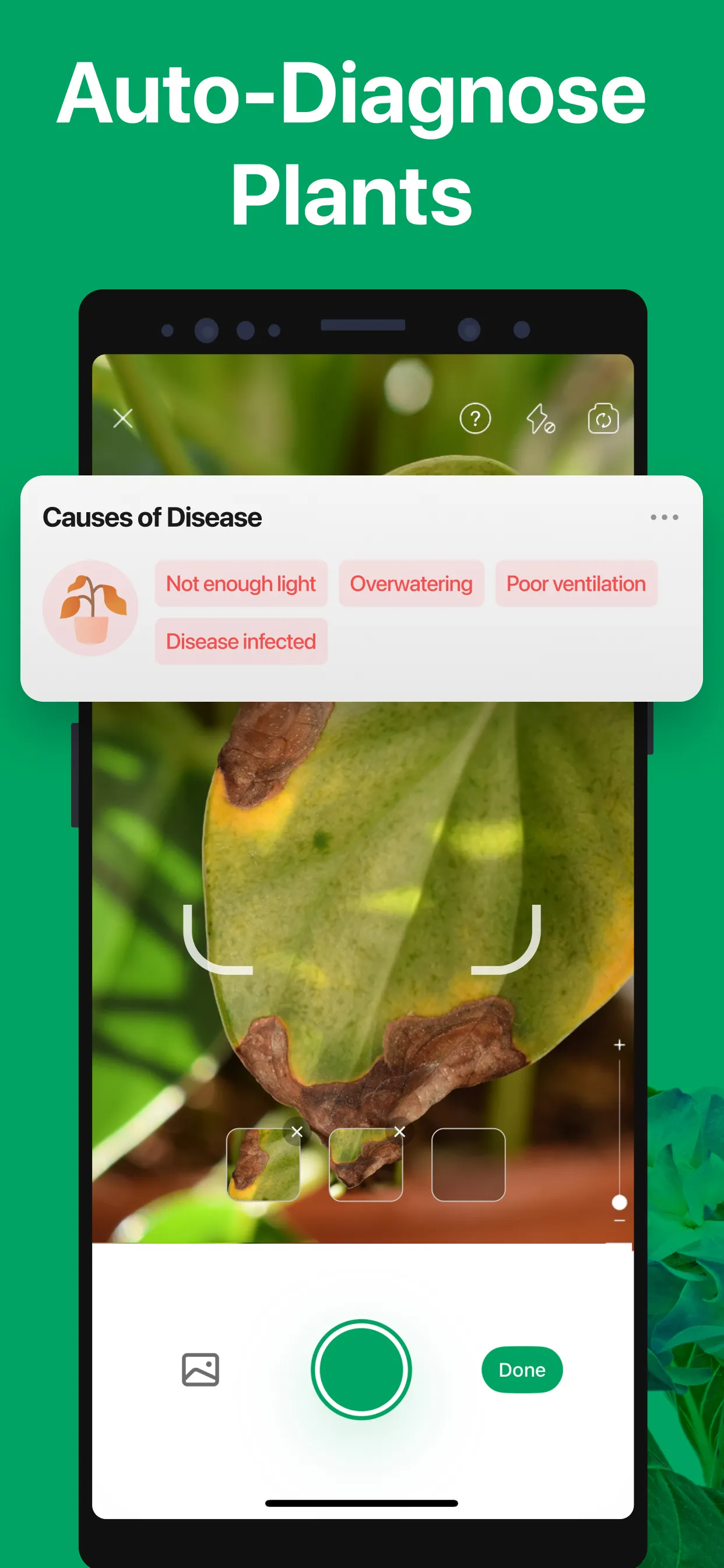PictureThis - Plant Identifier | Indus Appstore | Screenshot