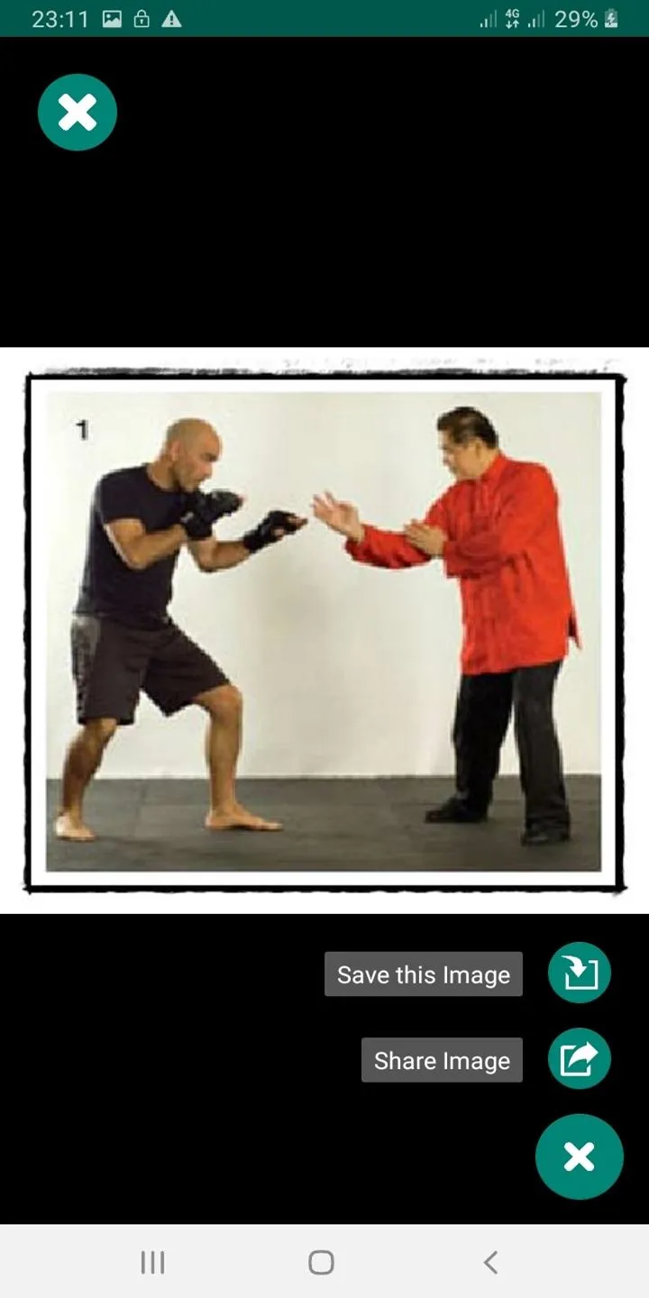 Wing Chun for Beginner-Expert | Indus Appstore | Screenshot