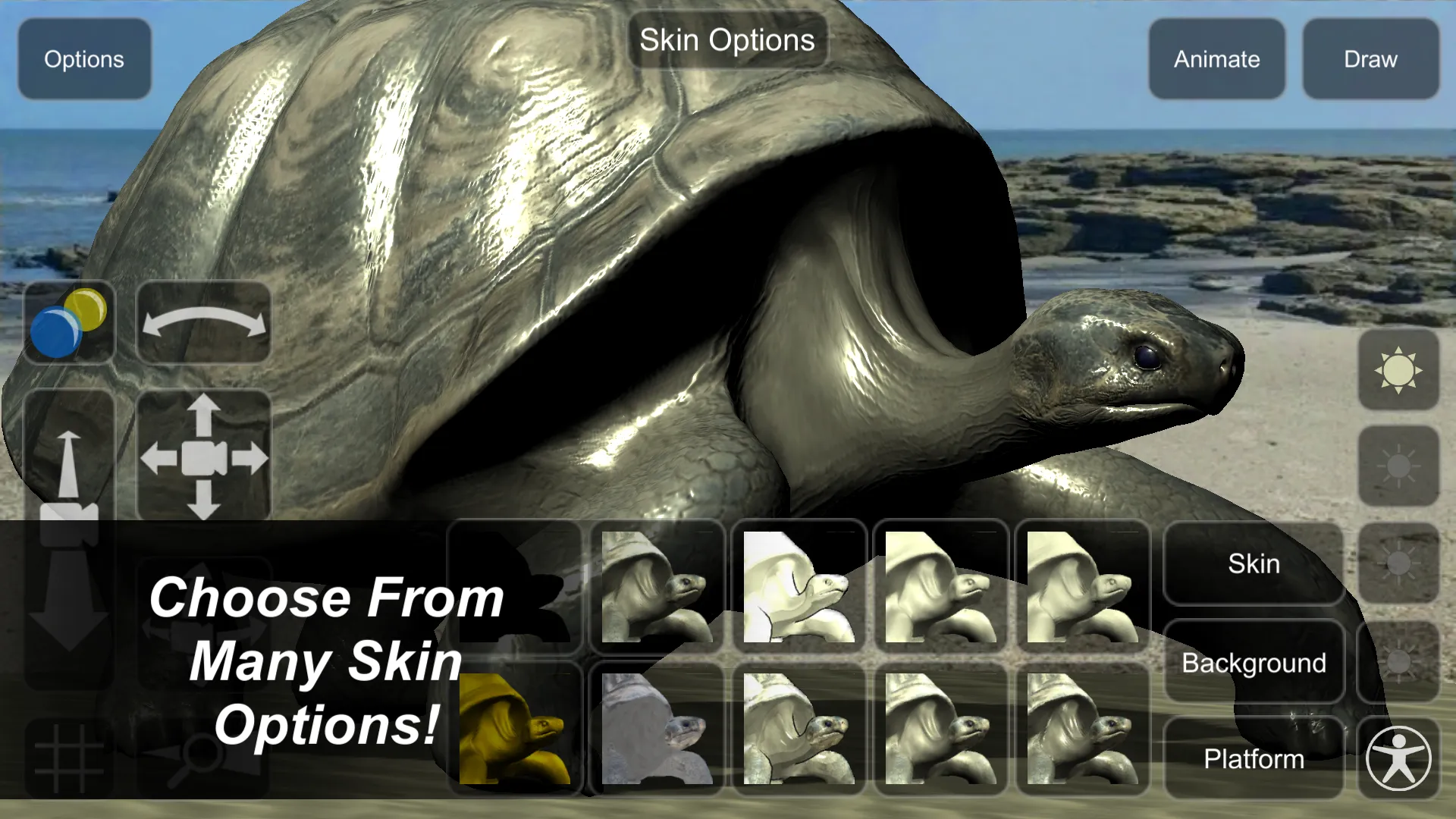 Tortoise Mannequin | Indus Appstore | Screenshot