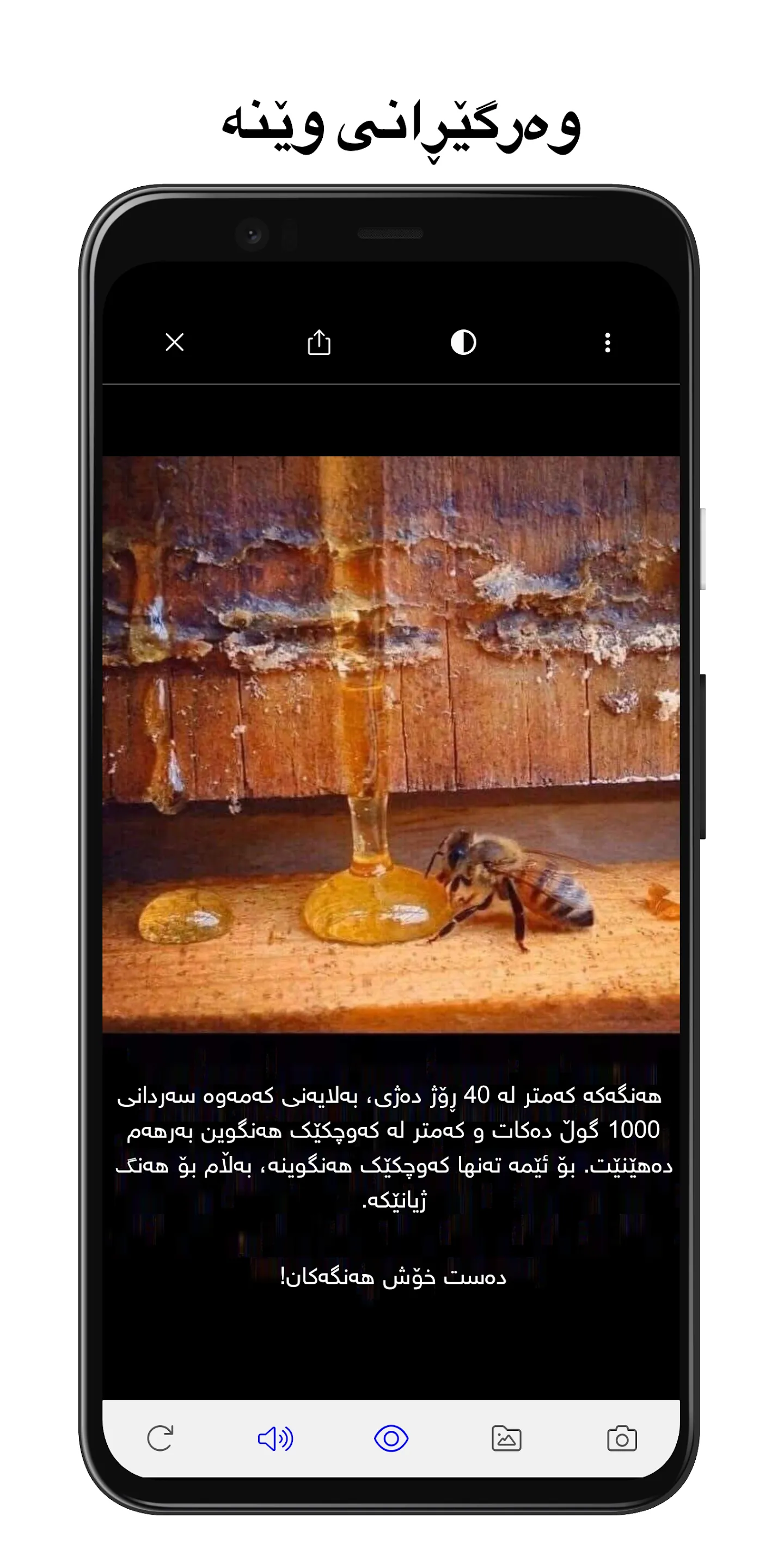 Rebin Dictionary Plus-Kurdish | Indus Appstore | Screenshot