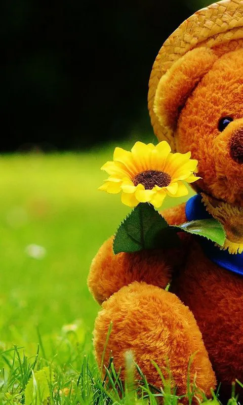 Teddy Bear Wallpaper | Indus Appstore | Screenshot