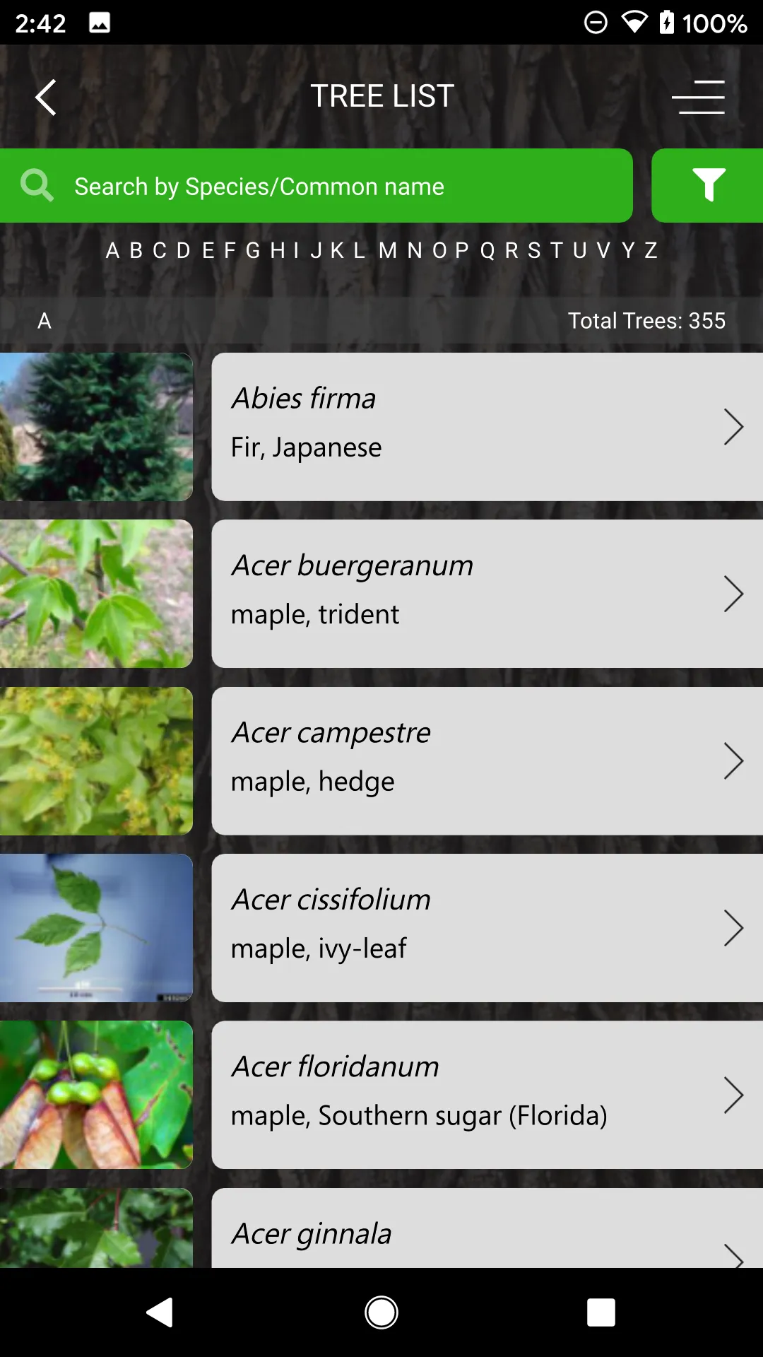 My Tree ID | Indus Appstore | Screenshot