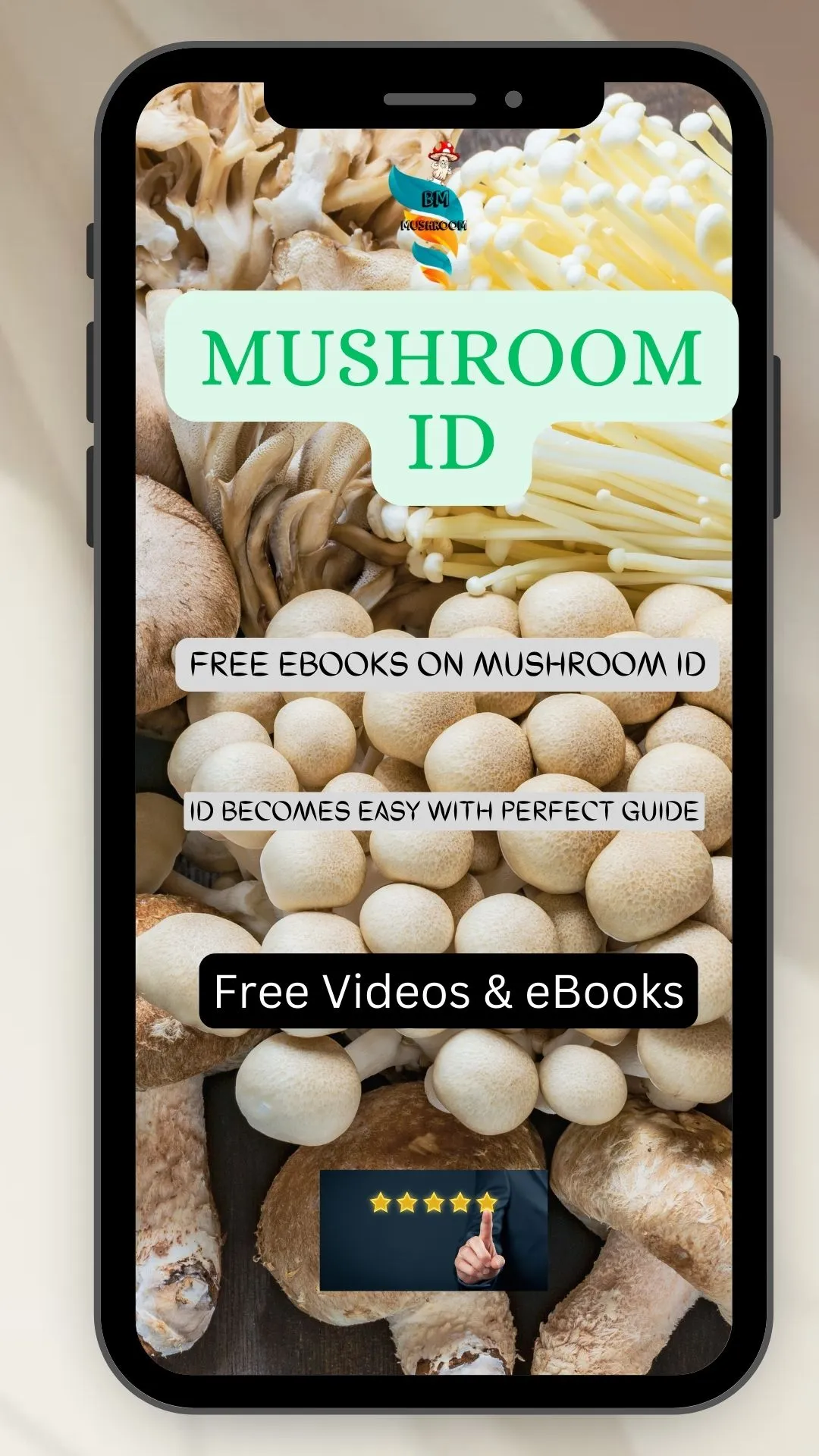 BM MUSHROOM | Indus Appstore | Screenshot