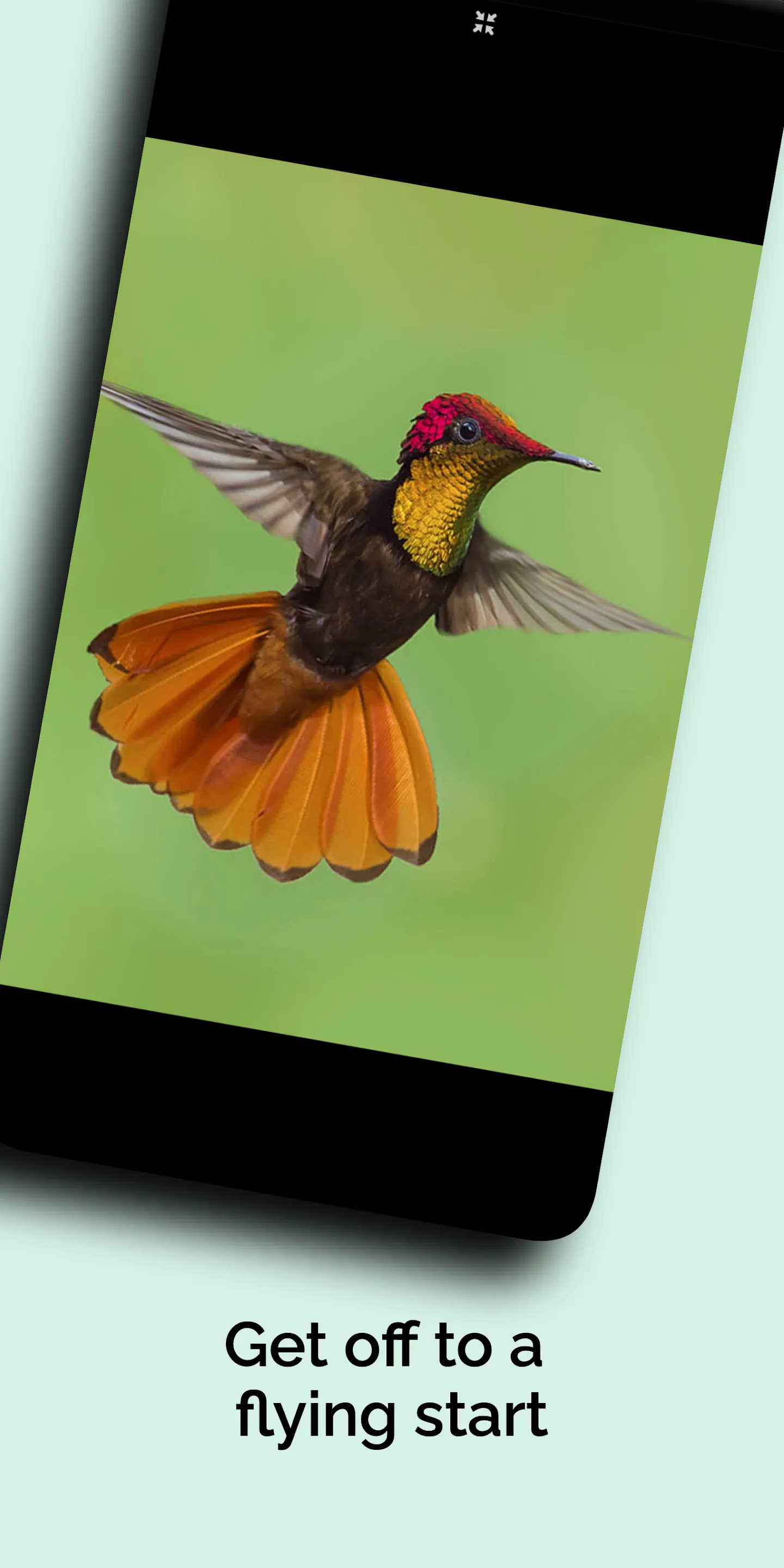 Natural History Museum | Indus Appstore | Screenshot