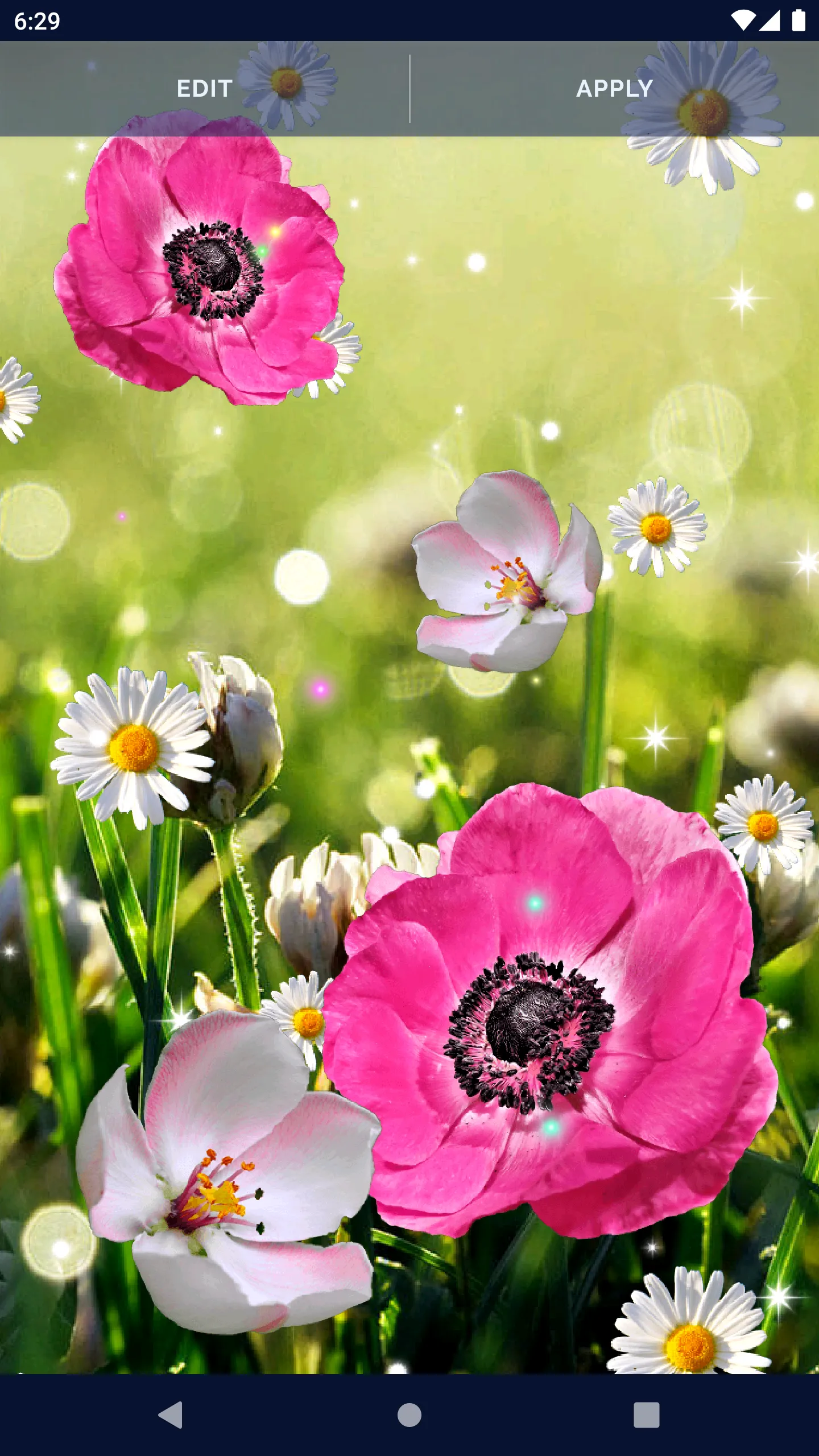 Pink Flower Live Wallpaper | Indus Appstore | Screenshot